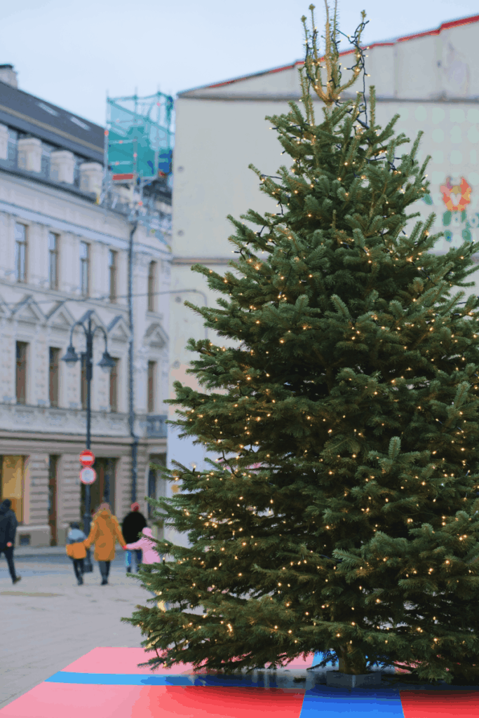 Nestandartinio aukščio kėnis lauke dieną, 350 cm